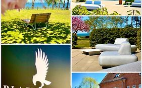 Residence Black Eagle Lubmin Strand